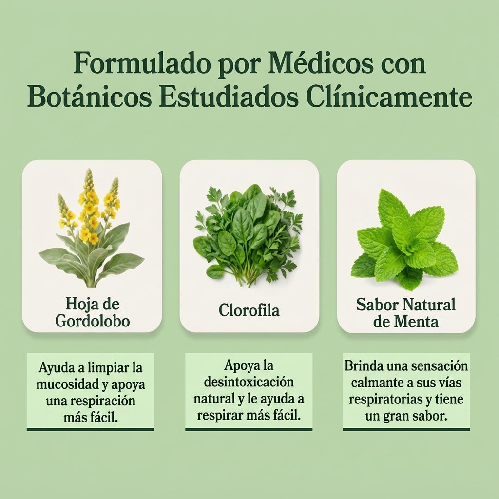 BetterLungs® Gordolobo+ Chlorophyll Tincture (Mint Flavor)