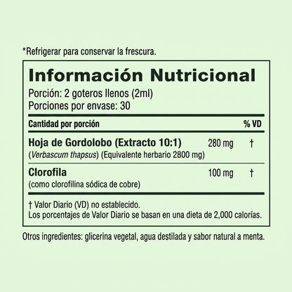 BetterLungs® Gordolobo+ Chlorophyll Tincture (Mint Flavor)